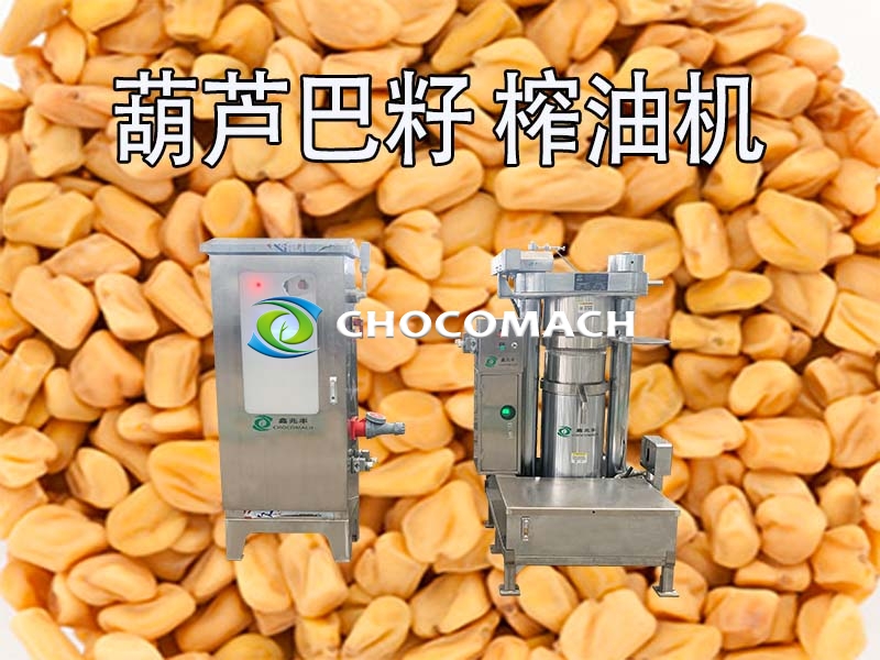 液壓機(jī)還是螺旋機(jī)？葫蘆巴籽榨油機(jī)選擇指南